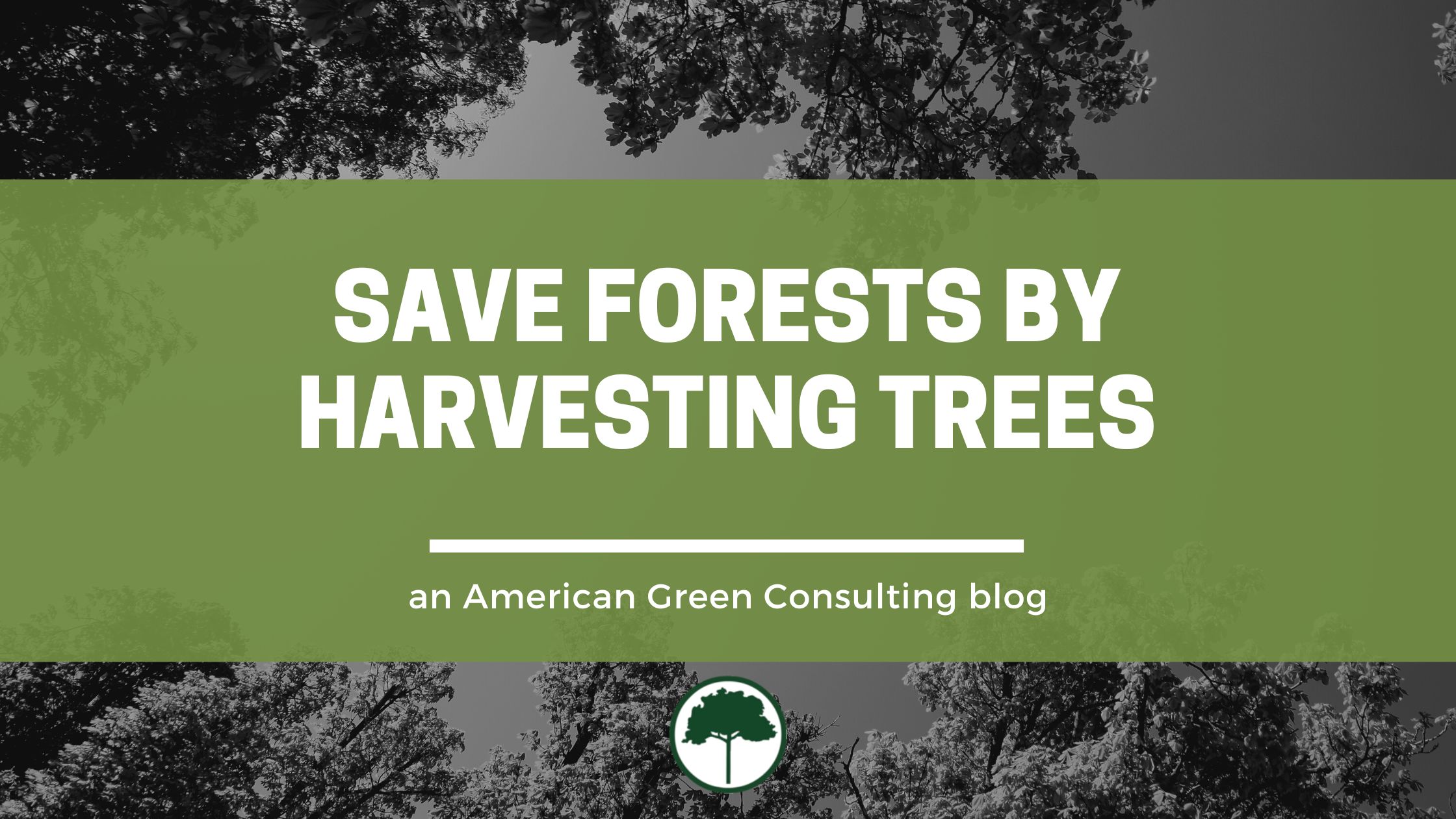 Save Forests By Harvesting Trees