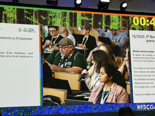 A view of the FSC GA 2025 from a large screen. Anusha sits in the crowd along the bottom right.
