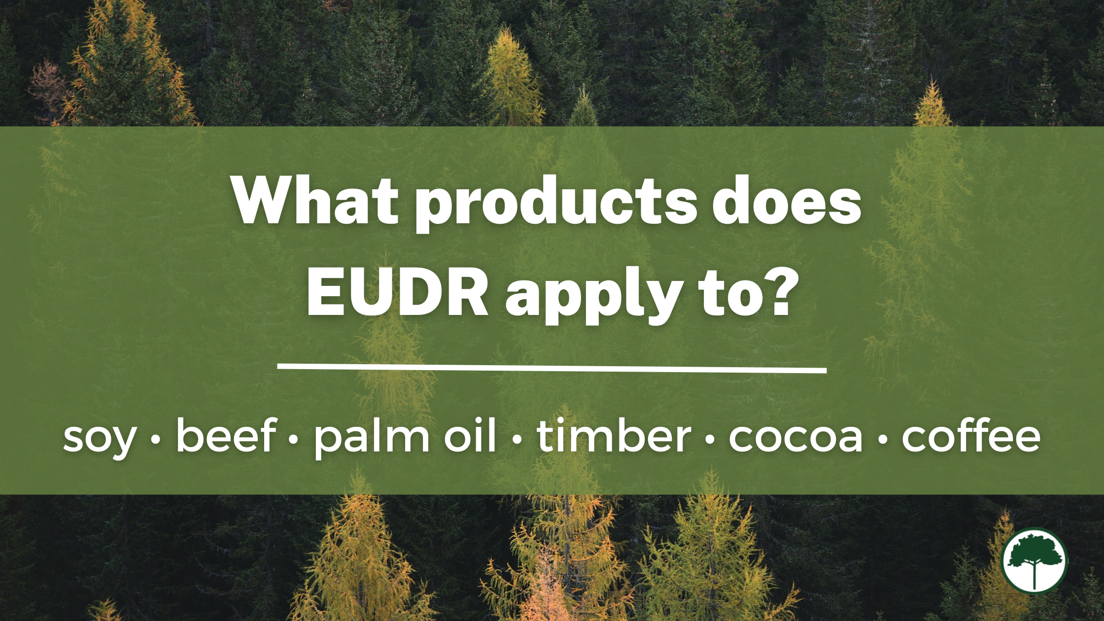 List of products that EUDR applies to: soy, beef, palm oil, timber, cocoa, coffee