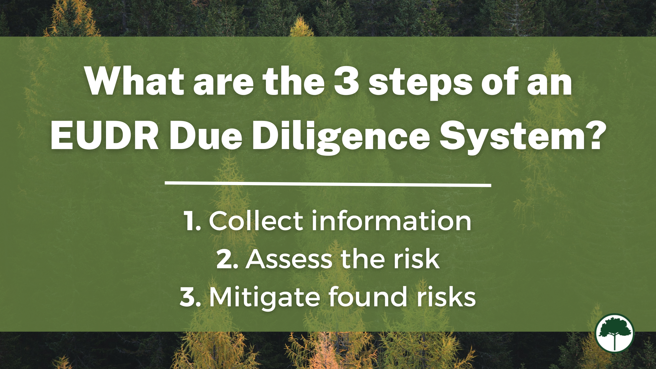 What are the 3 steps of an EUDR Due Diligence System? 1. Collect information, 2. Assess the risk, 3. Mitigate found risks