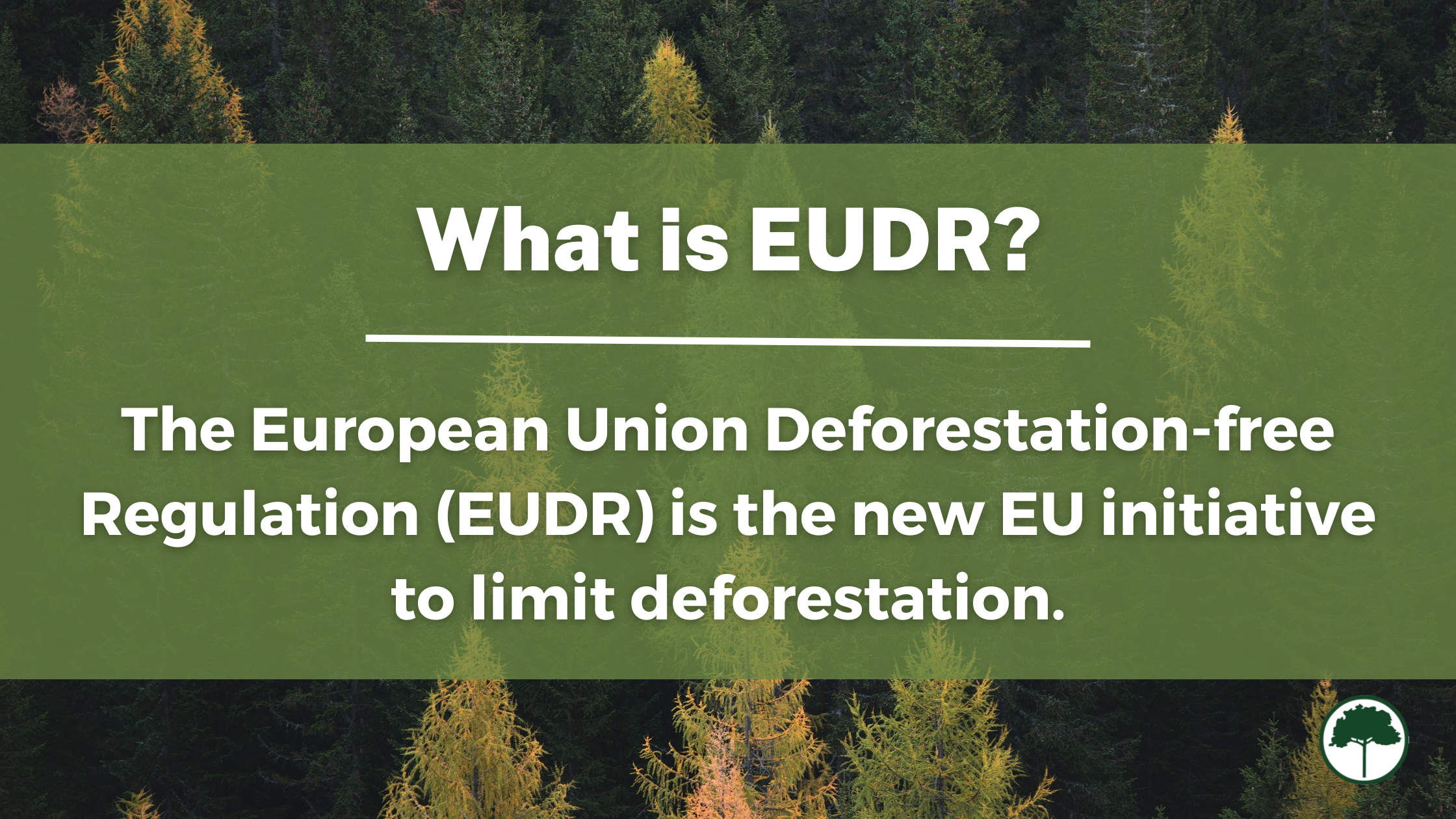 Definition of what EUDR is