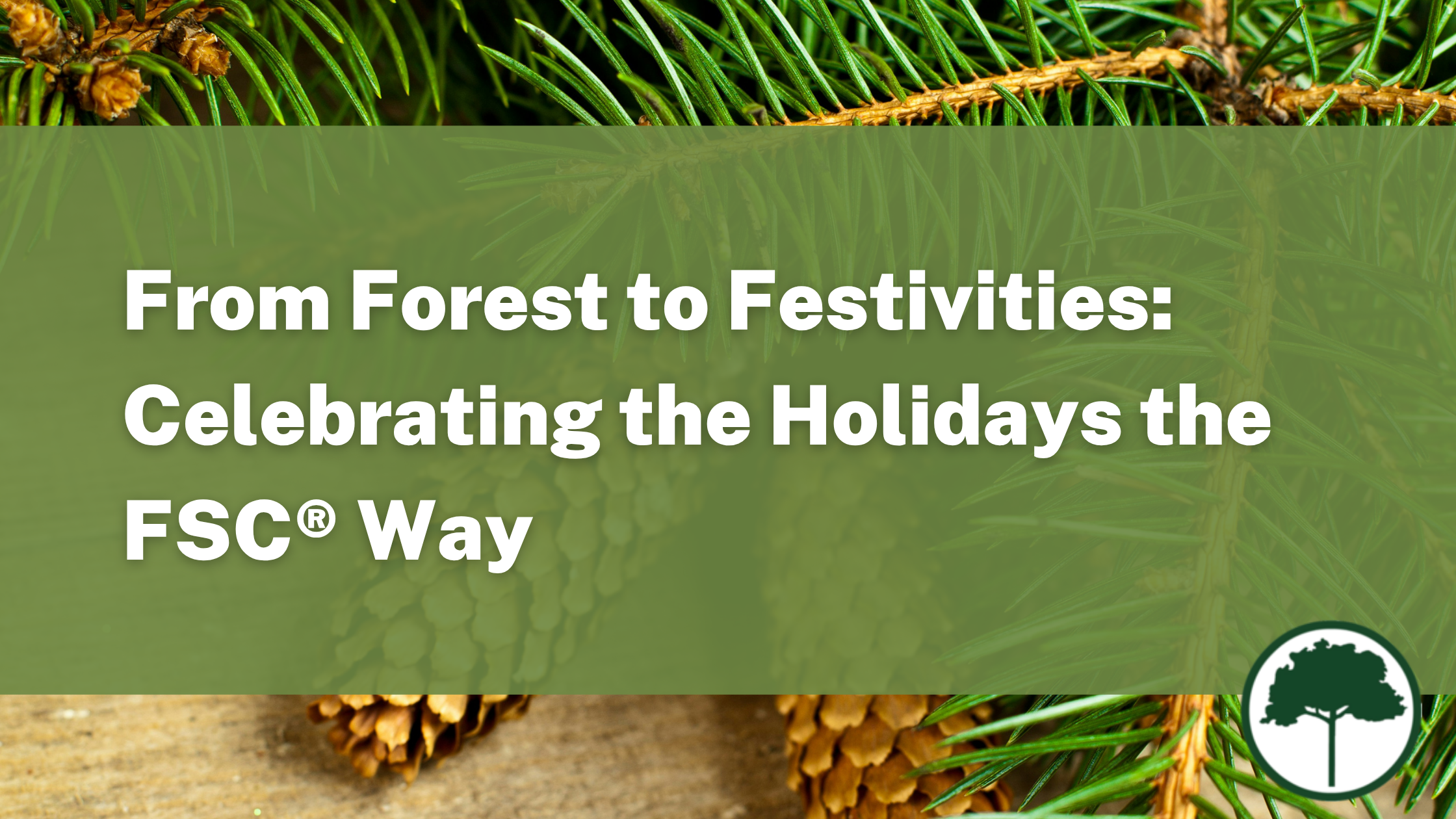 Pine tree branches and pinecones placed on a light brown table. Text reads: From Forest to Festivities: Celebrating the Holidays the FSC® Way